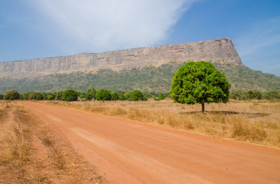 Country Guide - Guinea